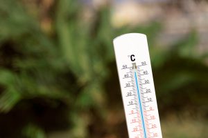 a thermometer